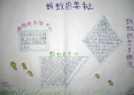 蚂蚁手抄报图片大全