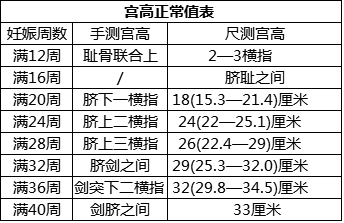 胎儿发育标准对照表图