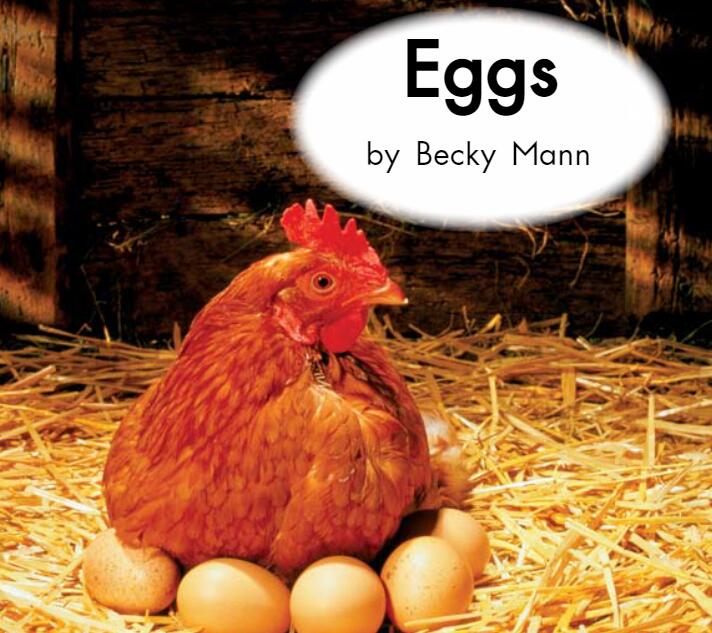 eggs鸡蛋海尼曼英语绘本pdf资源免费下载