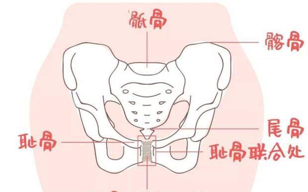 生娃后骨盆变大致腰疼,别忽视修复问题,赵丽颖都没逃开