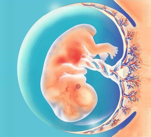 怀孕16周没感觉到胎动,不一定是胎儿发育不好,还可能是6个原因
