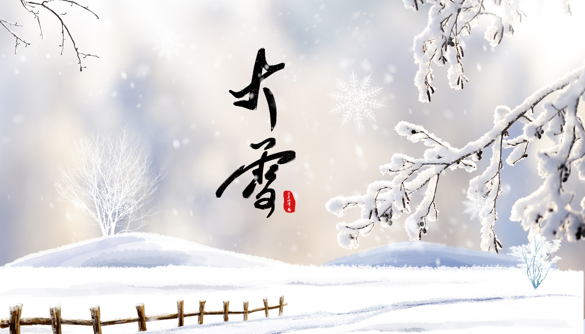 关于大雪节气的作文800字