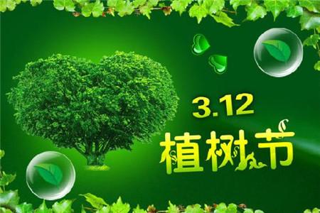 今年植树节只让孩子种这样的树考验孩子的动手能力到了