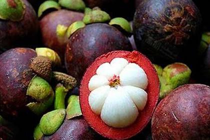 【孕妇可以吃山竹吗】孕妇吃山竹好吗_孕妇能