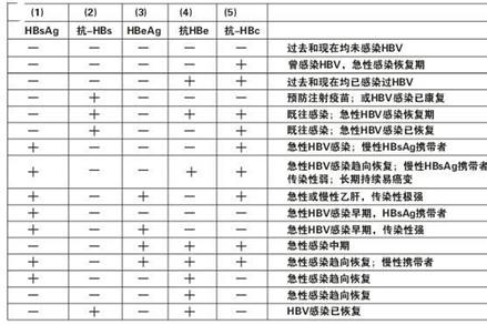 乙肝五项对照表