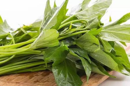 【孕妇可以吃红薯叶吗】孕妇吃红薯叶好吗_亲亲宝贝网