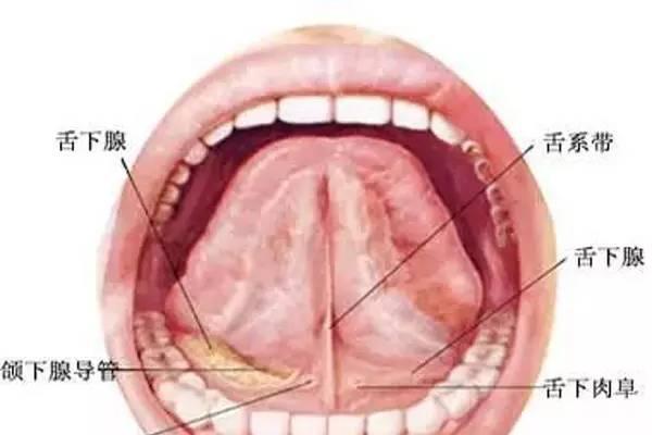 【宝宝舌头发黄是怎么回事】宝宝舌头发黄是什