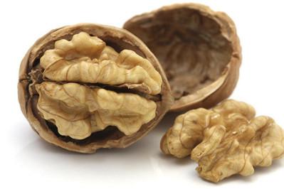 【几个月宝宝可以吃核桃】宝宝多大可以吃核桃