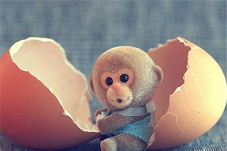 【什么食物可以壮阳补肾】壮阳补肾吃什么食物