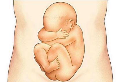 胎儿打嗝是什么感觉