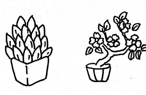 各种可爱的盆栽简笔画图片