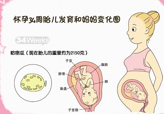 知识库 正文  左侧卧位.