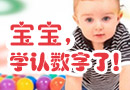 宝宝学数字
