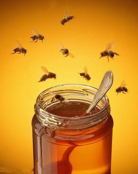 蜂蜜减肥法