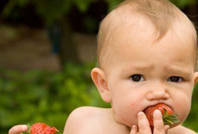 9个月宝宝能吃什么水果