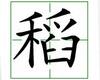 识字教学：稻