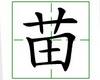 识字教学：苗