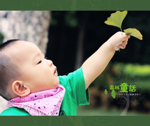 森林童话：让宝宝亲近自然
