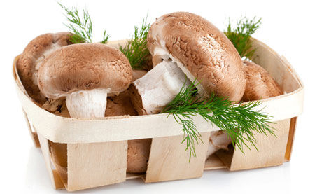 蘑菇能增强免疫力 预防春季感冒