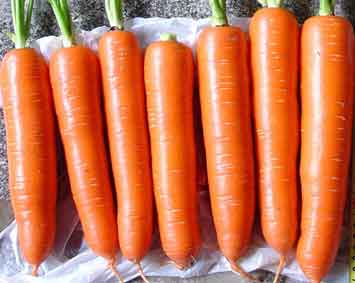 胡萝卜的营养价值与成分