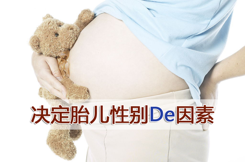 决定胎儿性别的因素有哪些