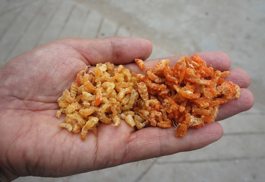 山东染色海米加工点曝光 海虾鲜红全因添加色素