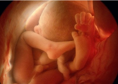 揭秘：胎儿具备4种超能力