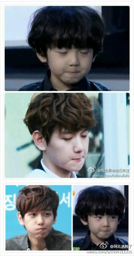 小金驼baby酷似韩国组合EXO-K成员边伯贤（组图）