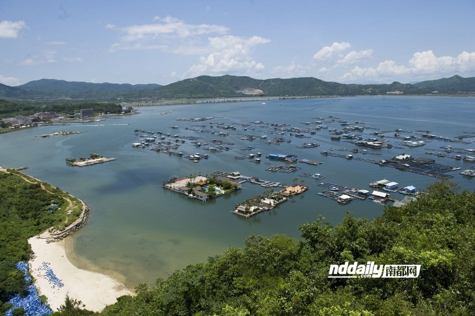 深圳“海上皇宫”悄然复合 成观光景点