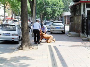5旬男裸奔 司机看热闹追尾
