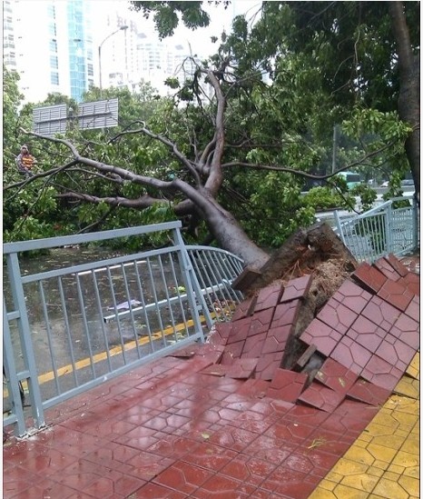 深圳台风韦森特 市民出行受较大影响