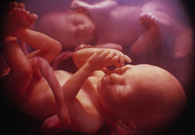 胎儿停育的原因有哪些