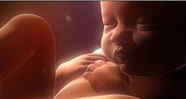胎儿发育过程中的7种技能