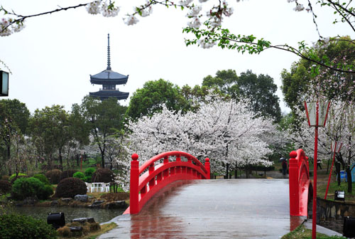 武汉旅游 大都市小情调