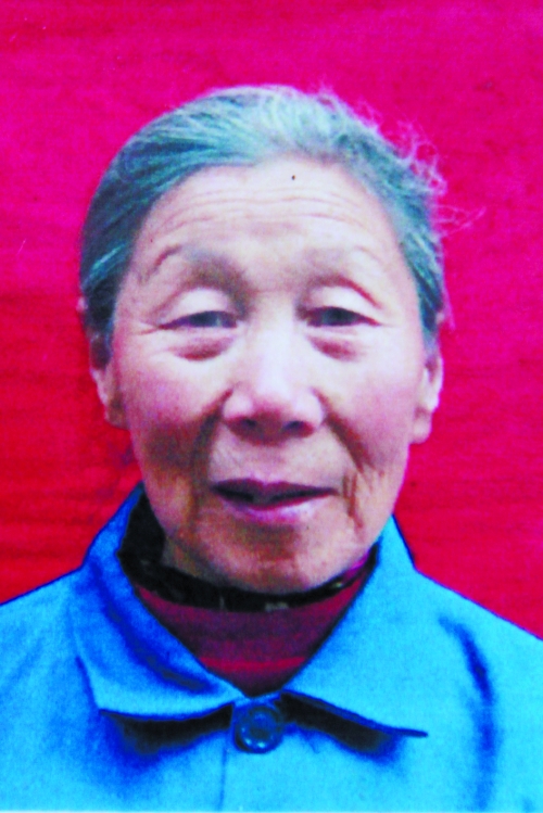 奶奶罩住遇马蜂袭击孙女全身被蜇肿 转院途中去世