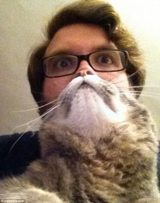 人猫合一