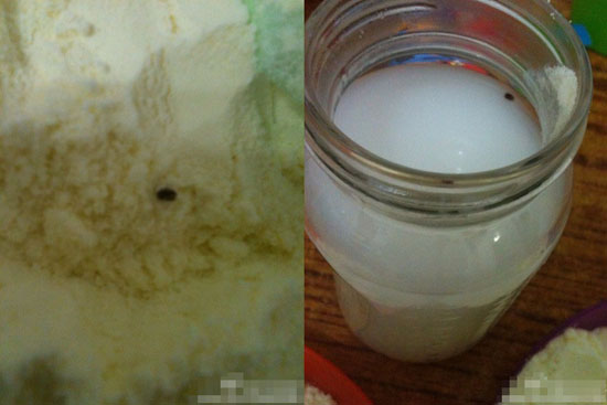 多美滋奶粉最新事件