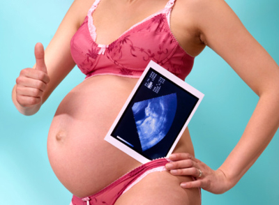 怀孕1至12周胎儿发育