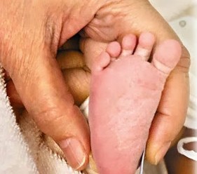 吴佩慈未婚先孕