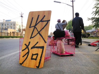 北京一家狗市外，很多人在路边收狗卖狗。当地商贩说，有人专收患病的狗，通过网络渠道售卖，这样出手快，也不易查出狗有问题。 A12-A13版摄影/新京报记者 尹亚飞