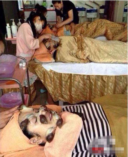 (专家建议，选择蜗牛美容需谨慎。)