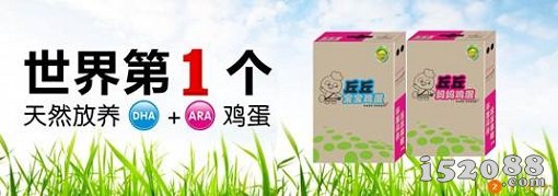 北川丘处鸡生态农场林