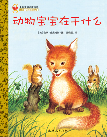 金色童书第二辑：《动物宝宝在干什么》