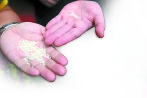 幼儿园发霉大米引热议 孩子在幼儿园里吃的放心吗?