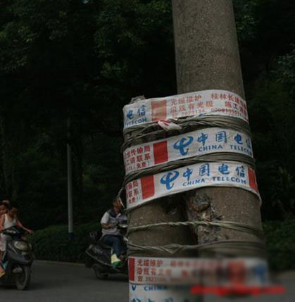 桂林现史上最牛胶布：胶布捆绑电线杆引发思考