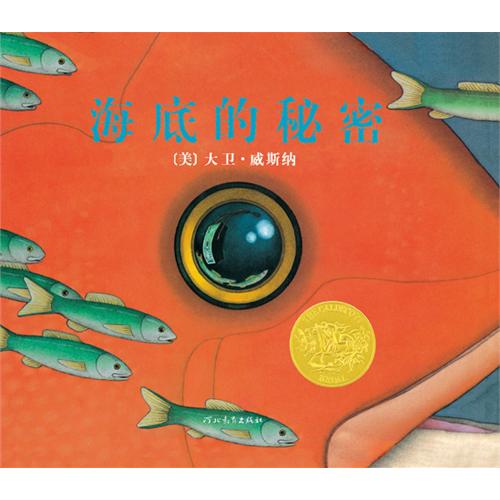 幼儿书籍：《海底的秘密》