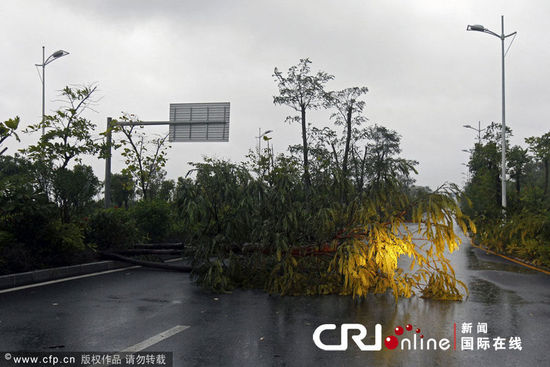 深圳近几日的天气如何？台风韦森特强势来袭