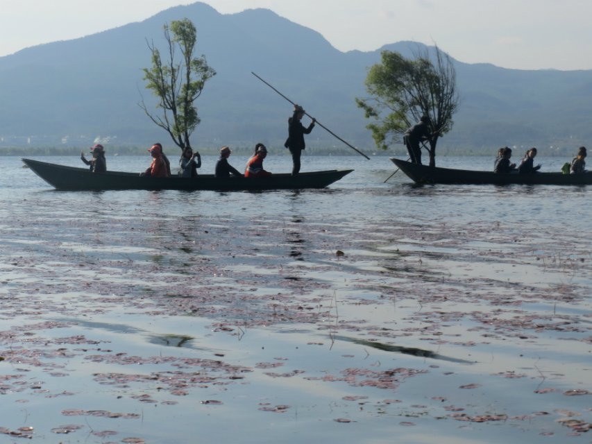 内地女香港拐婴案告破