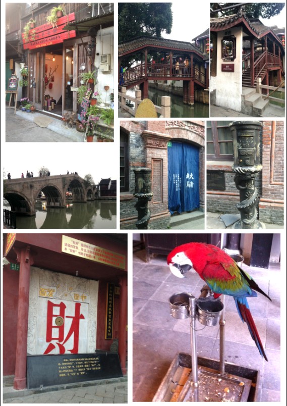 “爸妈去哪儿”——PITTORE皮涂乐小画笔下的大爱心