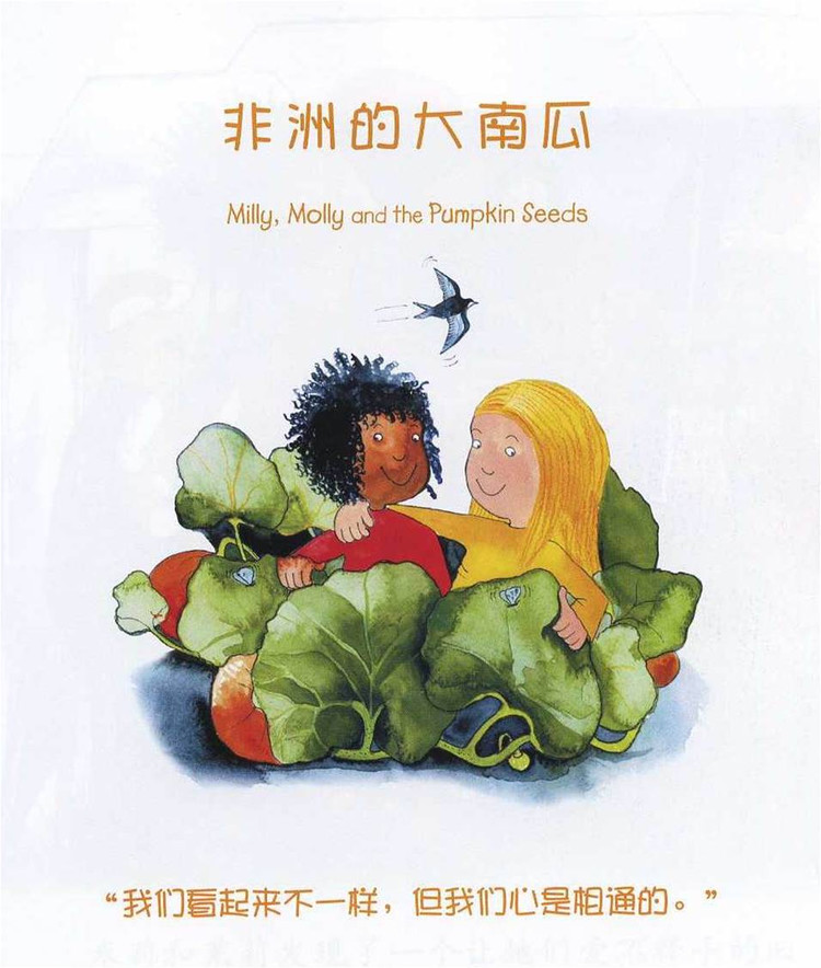 幼儿绘本故事：《非洲的大南瓜》